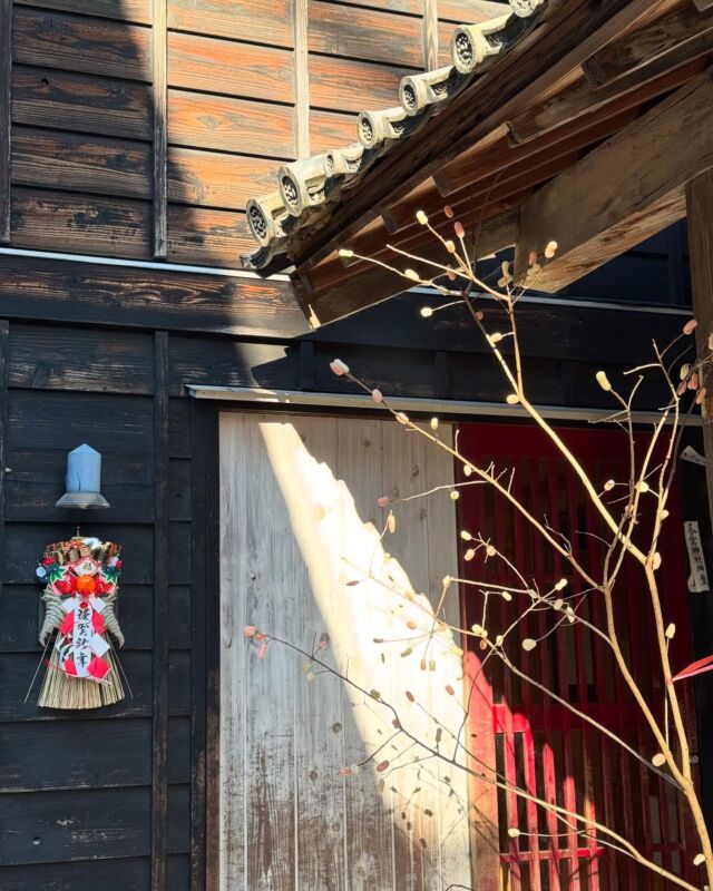 《まゆ玉》
無病息災を願って、まゆ玉を飾りました。
出来上がり後、子どもたちに感想を聞きました。枝に付ける作業が難しかったそうです。
今年も一年、健康で楽しく過ごせますように。

#小俣幼児生活団
#モンテッソーリ教育
#アドラー心理学
#栃木県足利市
#まゆ玉